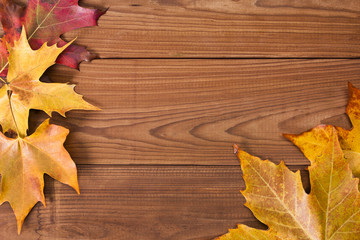Naklejka na ściany i meble autumn leaves on wood background