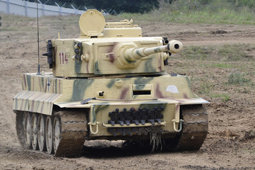 Fototapeta premium Tank Tiger