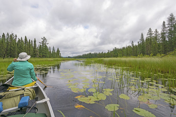 Fototapeta na wymiar Canoeing Through Lily Pads on a Cloudy Day on a Quiet North Wood