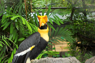 bird on tree in the nature