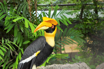 bird on tree in the nature