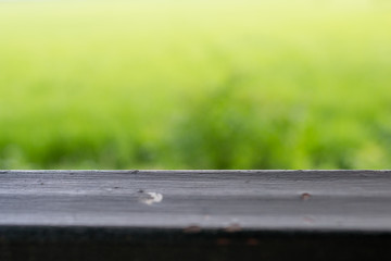 Fototapeta premium Sunny abstract green nature background with table, defocused