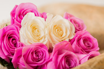 Beautiful bouquet of Ecuadorian pink and white roses