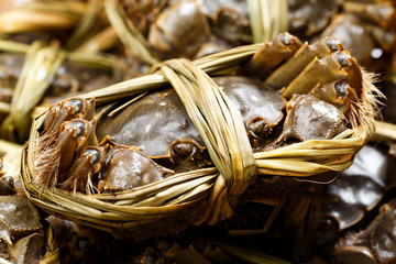 Chinese mitten crabs