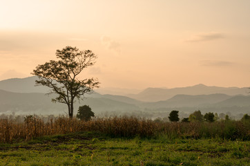 Obraz premium Sunset sky in the natural scenery, meadows and trees