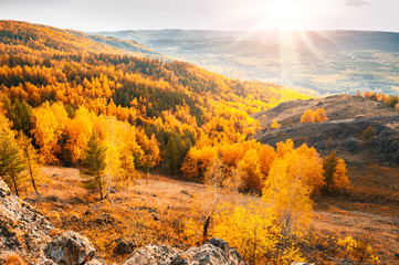 Panele Szklane Podświetlane  Piękny widok na jesienny las w górach