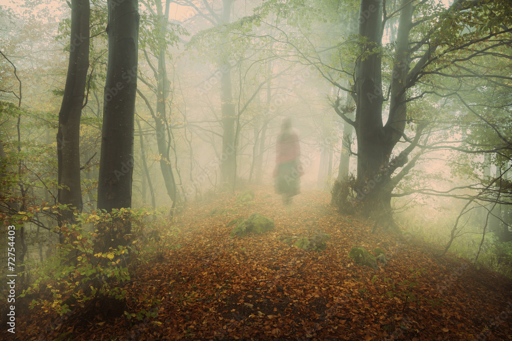Poster dark mist in the forest. ghost appears