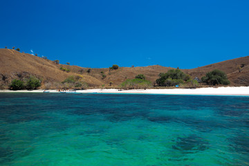 Komodo Island