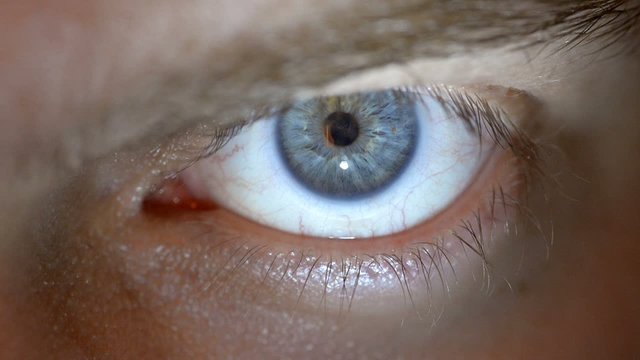 Closeup of blue male eye with contact lens looking at camera.