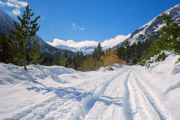 Fototapeta na wymiar winter road in the mountains of Bulgaria