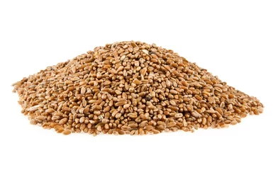 Rolgordijnen grains of wheat © Valerii Zan
