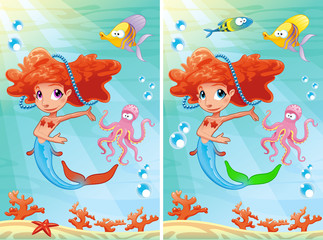Spot the differences.