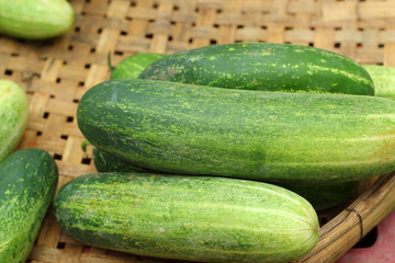 Fresh cucumber in the market