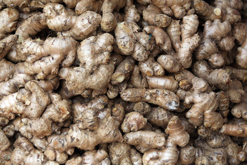 Ginger