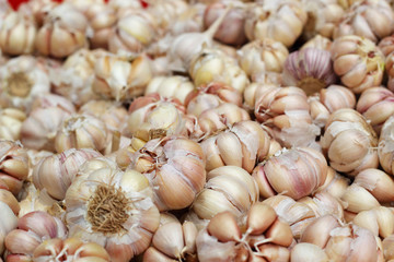 Garlic in the market
