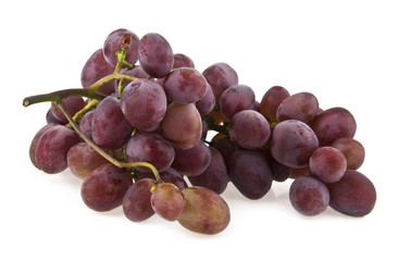 Fototapeta premium cluster of vine