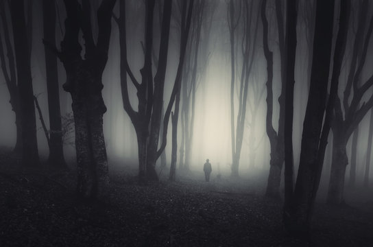 spooky forest landscape with man and twisted trees on halloween © andreiuc88