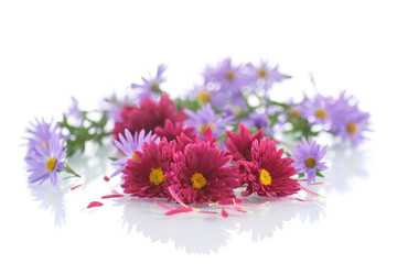 bouquet of red chrysanthemums