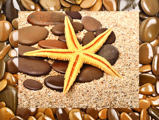 Starfish and  pebble on the sand