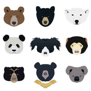 Set of Bear and Wild Animals Vector and Icon