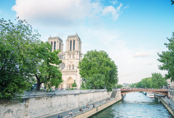 Fototapeta na wymiar Notre Dame cathedral in Paris on a beautiful summer day
