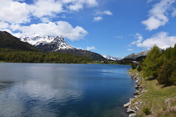 View of the lake of Sils