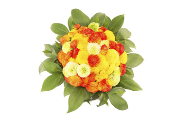 Bouquet of the colorful chrysanthemums