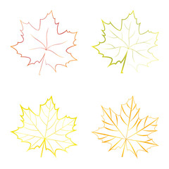 set of vector colorful maple leaves
