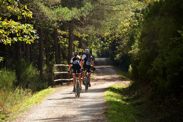 Fototapeta premium carrera ciclista a traves del bosque