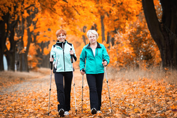 Nordic walking