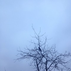 одиночество 