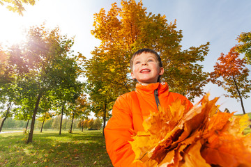 Looking boy with bunch of bright orange leaves