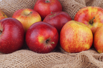 Apple, Apples, Fruits