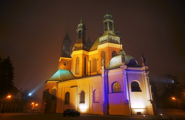 Fototapeta na wymiar Cathedral church in misty evening in Poznan.