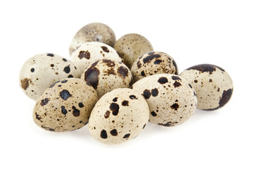 Fototapeta premium quail eggs
