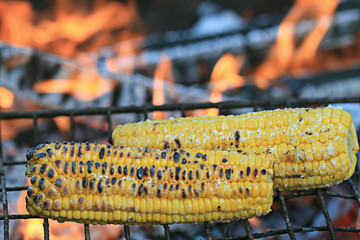 corn grill © kichigin19