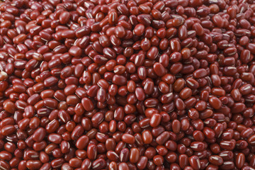 小豆　あずき　Red beans