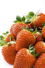 いちご　Fragaria　Strawberry
