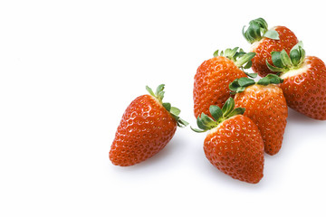 いちご　Fragaria　Strawberry