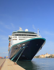 Cruise liner moored in port