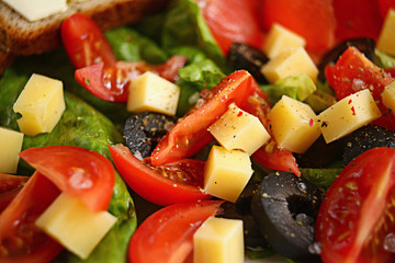Vegetables salad in a plate fish