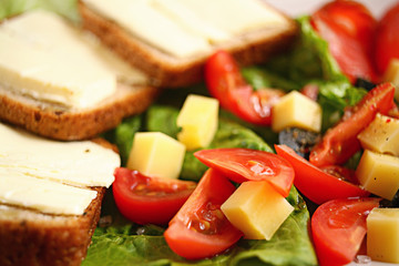Vegetables salad in a plate fish