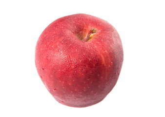 Red apples over white background