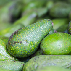 frutta e verdura 23