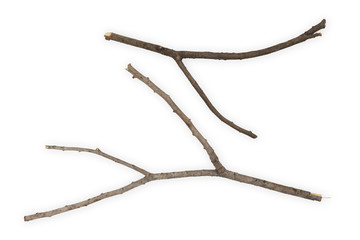 Obraz premium Branches Sticks