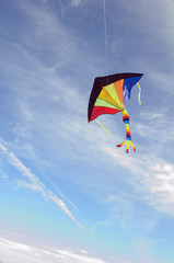 colorful kite flying