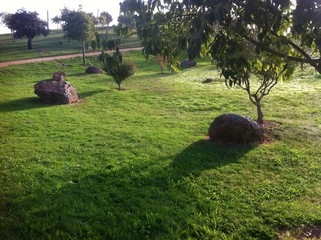 PARQUE