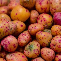 frutta e verdura 41