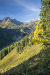 Naklejka premium Herbst in den Alpen