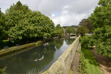swans in moat at  Bishop Palace,Wells
